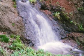 rill.jpg (80379 bytes)