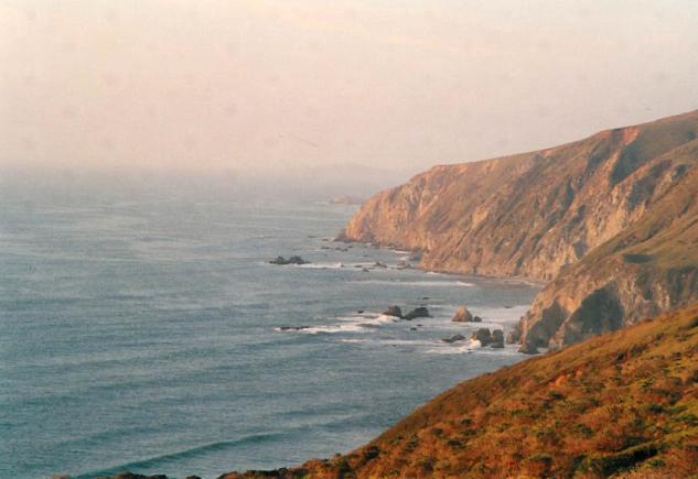 shoreline.jpg (72937 bytes)